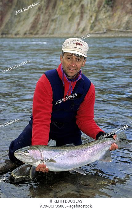 Angler holding steelhead, Bulkley river, British Columbia, Canada