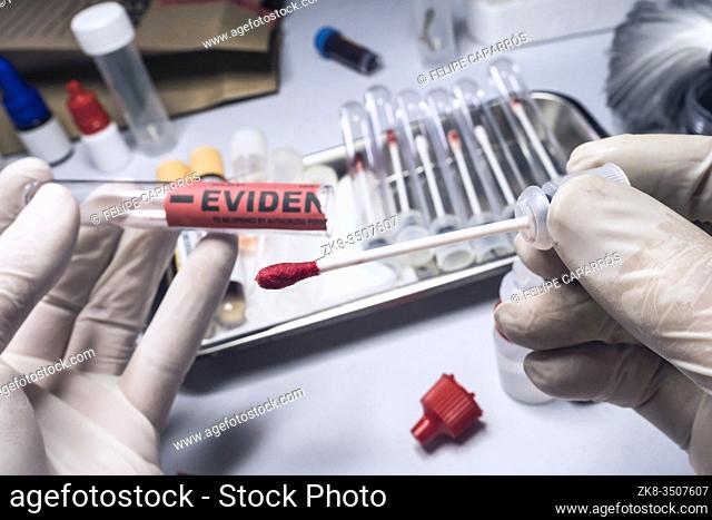 Criminological police officer cuts with scissors hyssop with blood sample to be analyzed in laboratory, conceptual image