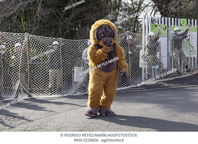 February 22, 2019, Tokyo, Japan - A zookeeper wearing orangutan costume tries to escape while zookeepers hold up a net in an attempt to capture it during an...