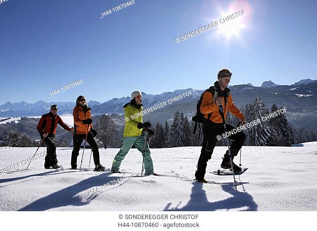 Switzerland, winter sports, snowshoe, snowshoeing, running, Gibelegg, canton Bern, group, four, persons, people, tourism, holidays, winters, walk, snowy shoes