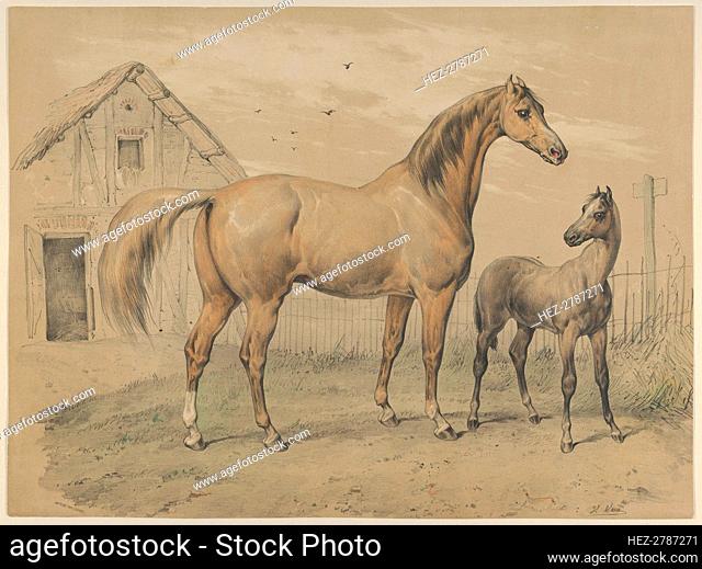 Mare and Foal, 19th century. Creator: Victor Adam