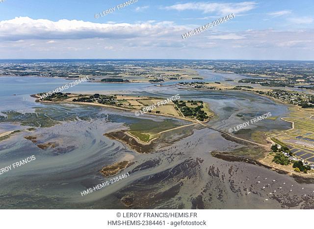 France, Morbihan, Saint Armel, Gulf of Morbihan, Tascon island (aerial view)