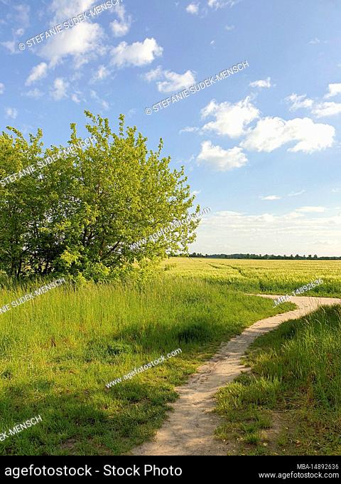 Germany, Berlin, old wall path in the south of Berlin with view to Teltow Fläming, green landscape, summery, endless expanse
