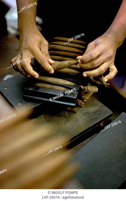 Leon Jimenes rolling tobacco in a cigar factory in Santiago de los Caballeros, Dominican Republic, Caribbean