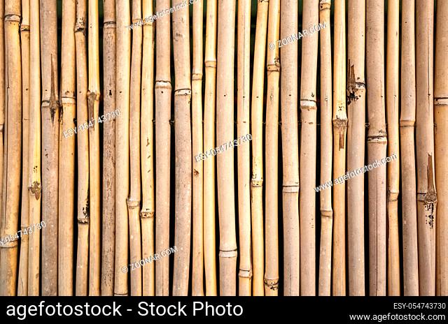 yellow bamboo wall background, traditional homemade fence