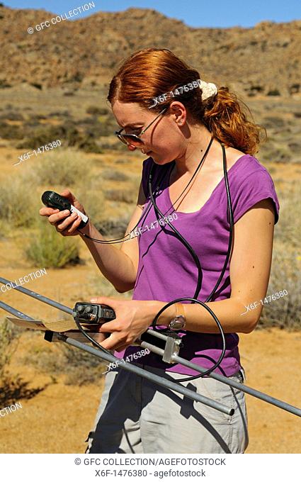 Researcher from the Succulent Karoo Research Station during telemetry work of a Four-Striped Grass Mouse Rhabdomys pumilio in the Goegap Nature Reserve