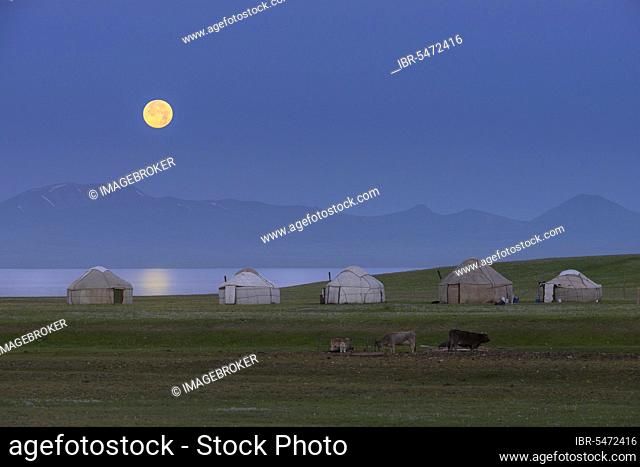 Moonrise over Song Kol Lake and nomadic yurts, Naryn Province, Kyrgyzstan, Central Asia, Asia