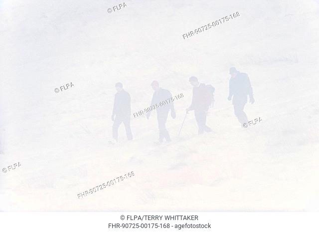 Four hikers in mist, on moorland in snow, Peak District, Derbyshire, England, winter