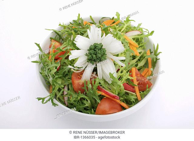 Colourful salad with frisée lettuce, tomato, radishes, carrots, spring onion and garden cress, with vinaigrette dressing in a salad bowl