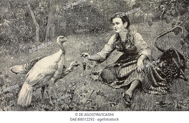 Delizie Rusticane (Rustic Delights), a woman feeds two turkeys with some grapes, engraving from a painting by Alceste Campriani (1848-1933)