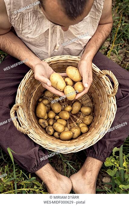 Three people sitting on field with potatoes in wicker basket