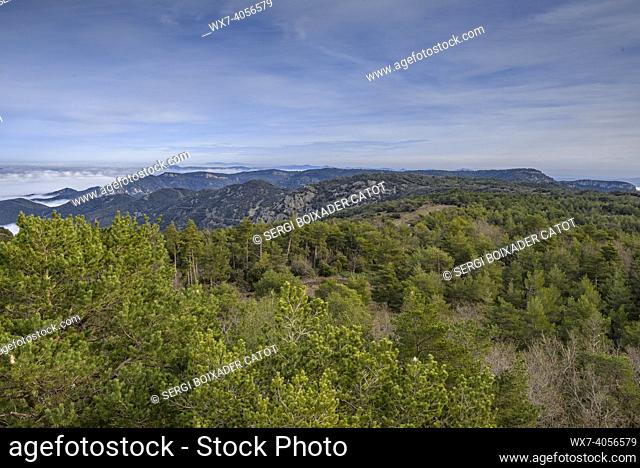 Views from the Roca del Gríngol summit, in the Prades Mountains (Tarragona, Catalonia, Spain)