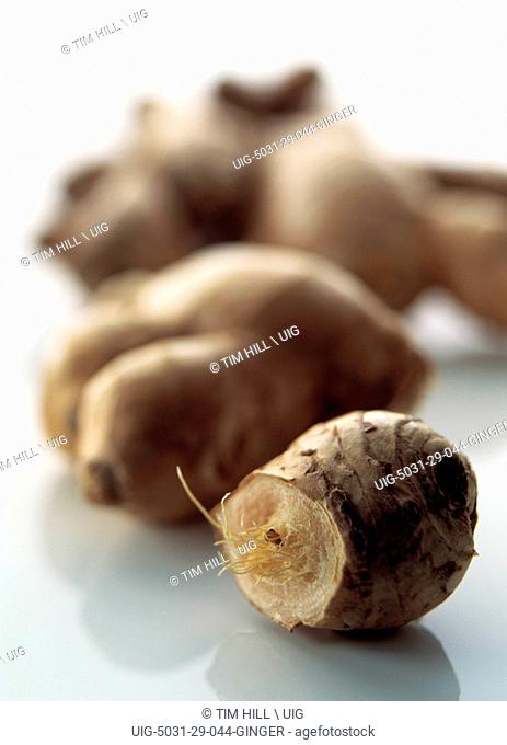 Close Up of Collection of Ginger Root on White