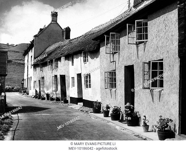 Lovely old thatched cottages, with their windows flung wide open during a summer heatwave, in the village of Branscombe, between Beer and Sidmouth, Devon