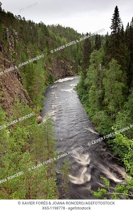 Oulankajoki river, Oulanka Canyon day trail, National Park of Oulanka, Kuusamo, Finland