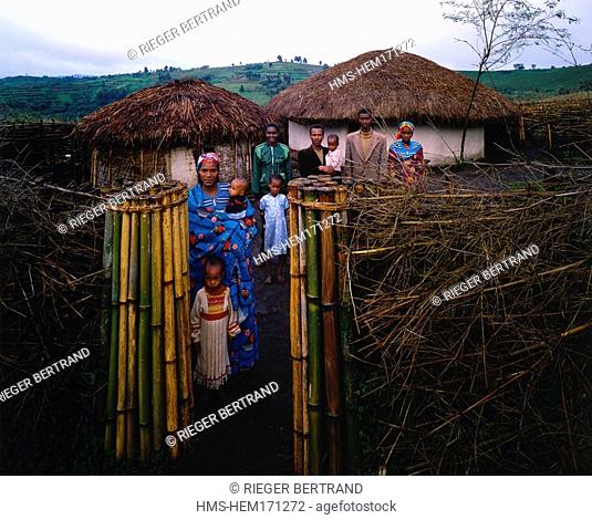 Burundi, Bujumbura Province, surroundings of Ijenda, Tutsi family in the main wall of a rugo family house, home on the right, hut with calfs on the left