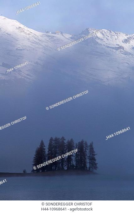 Engadin, Engadine, Champferersee, morning fog, autumn, wood, forest, canton, GR, Graubünden, Grisons, Unterengadin, Lower Engadine, island, isle, lake, lakes
