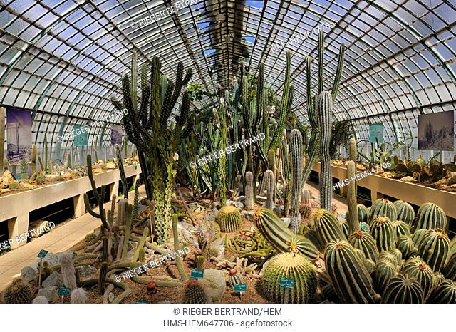 France, Paris, Jardin des Serres d'Auteuil, botanical garden set within a major greenhouse complex, greenhouse of succulent plants