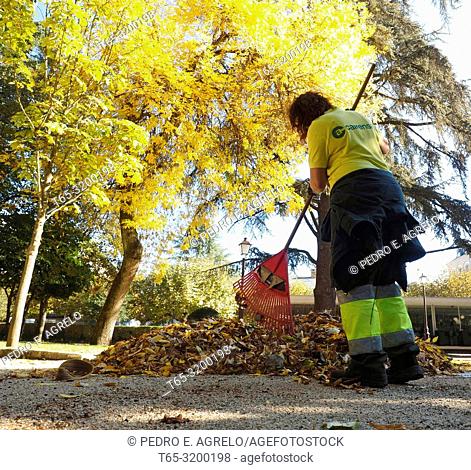 Woman from the garden service of Lugo collects leaves in the park of Rosalía de Castro, Lugo, Galicia, Spain