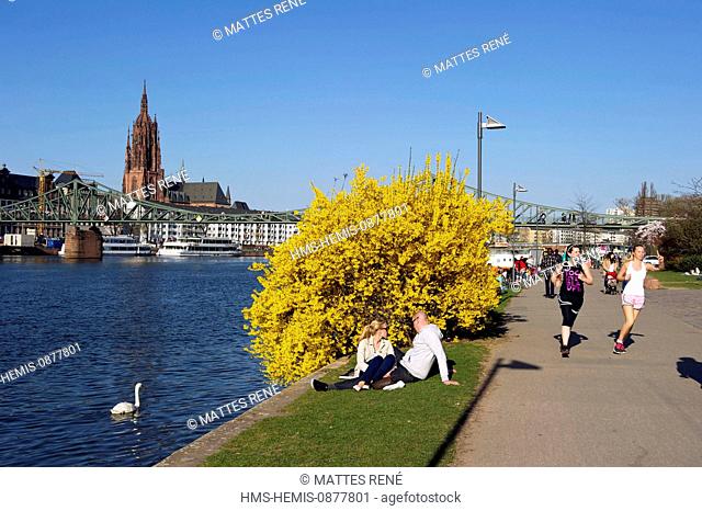 Germany, Hesse, Frankfurt am Main, riverbanks of Main river and St.Bartholomew's cathedral (Dom)