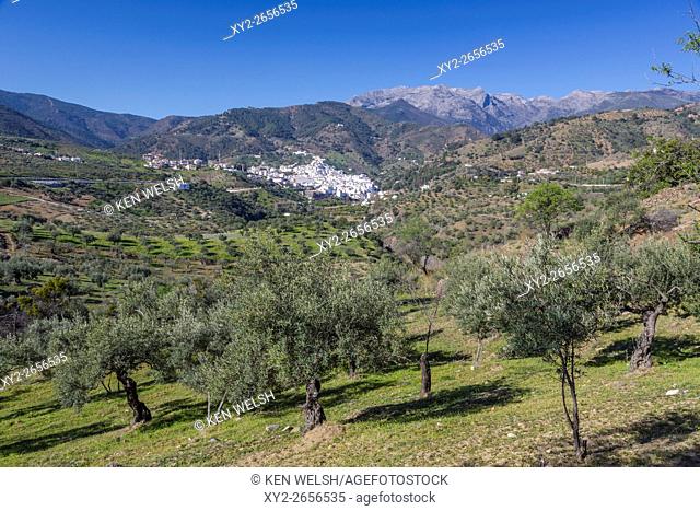 Tolox, Malaga Province, Andalusia, southern Spain. Typical white-washed mountain town. Tolox is famed as a spa town