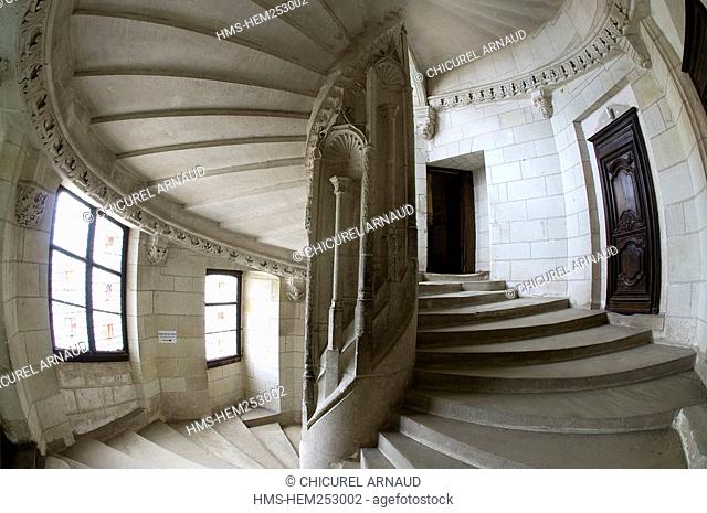 France, Loir et Cher, Loire Valley listed as World Heritage by UNESCO, Chaumont sur Loire, the staircase of the castle of Chaumont sur Loire