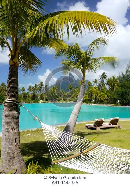 French Polynesia, Windward islands archipelago, bora bora island, Saint Regis luxury hotel and resort , hammock