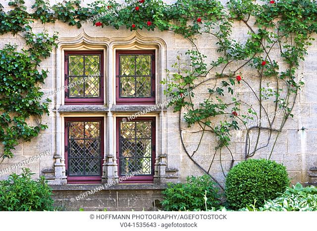 Close up of a window overgrown with flowers, Burgundy, France, Europe