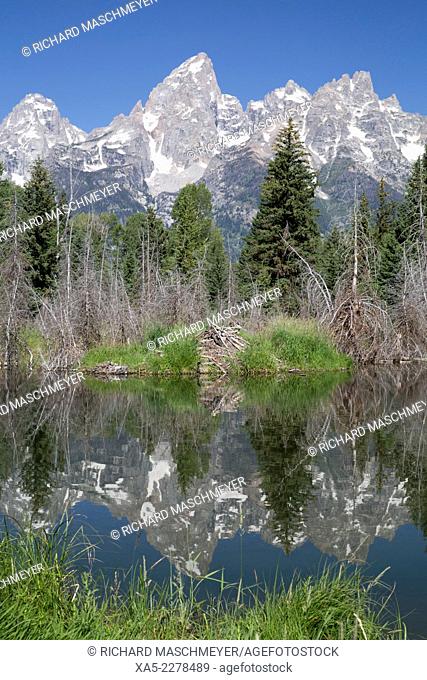 Water reflections of the Teton Range, Beaver House (foreground), taken from the end of Schwabacker Road, Grand Teton National Park, Wyoming, USA