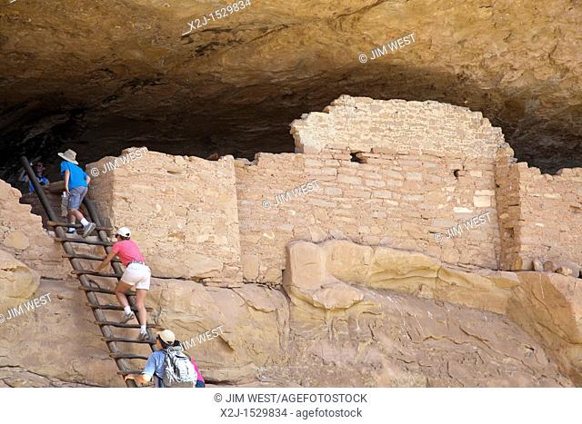 Cortez, Colorado - Tourists climb a ladder to enter the Long House cliff dwelling at Mesa Verde National Park  The park features cliff dwellings of ancestral...