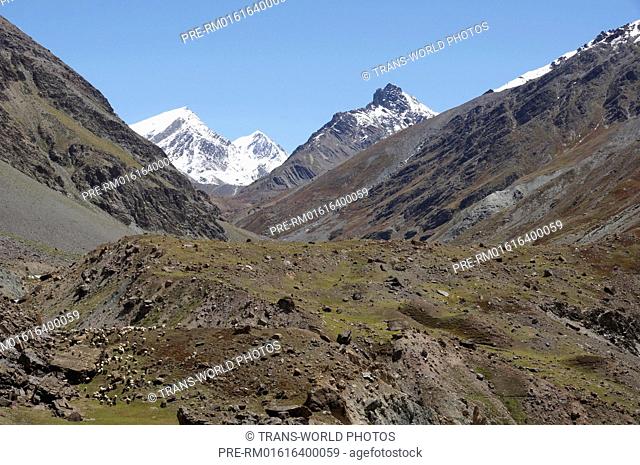 Landscape near Patseo, Manali-Leh Highway, Lahaul and Spiti, Himachal Pradesh, India / Landschaft bei Patseo, Manali-Leh Highway, Lahaul und Spiti
