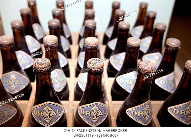 Historic bottles of Trappist beer, Cistercian Abbey of Orval, Abbaye Notre-Dame d'Orval, Villers-devant-Orval, Wallonia, Belgium, Europe