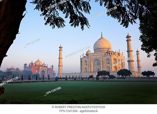 India - Uttar Pradesh - Agra - the Taj Mahal