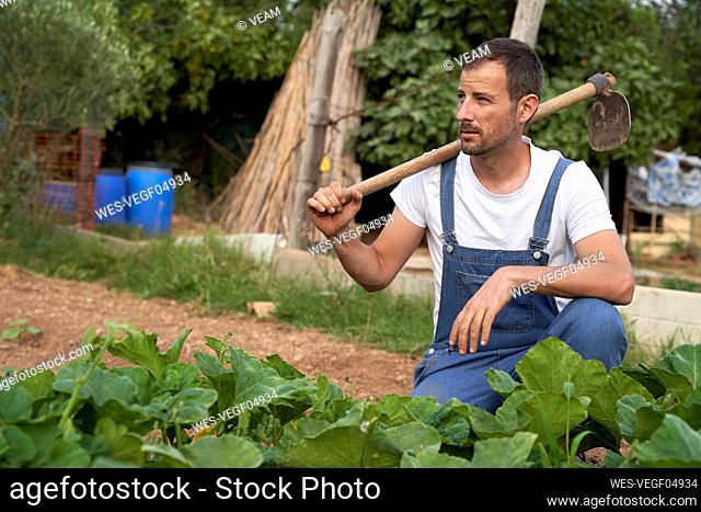 Male farm worker looking away while holding garden hoe crouching at agricultural field