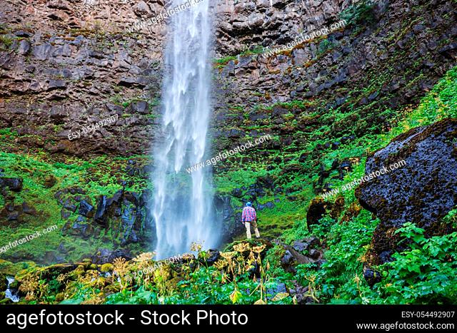 Beautiful waterfall in green forest, Oregon, USA