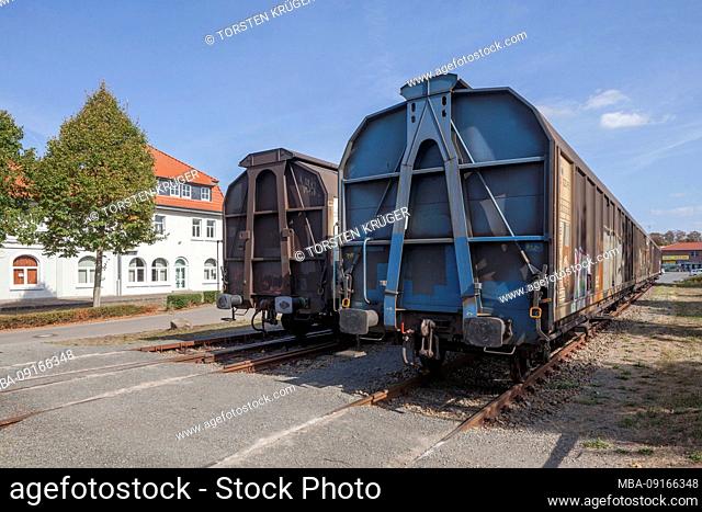 Old freight cars at the station, Hoya, Lower Saxony, Germany, Europe