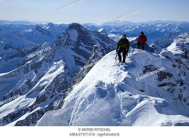 Rope team at the Olper South-East ridge, Tuxer Alps, Zillertal, Tyrol, Austria