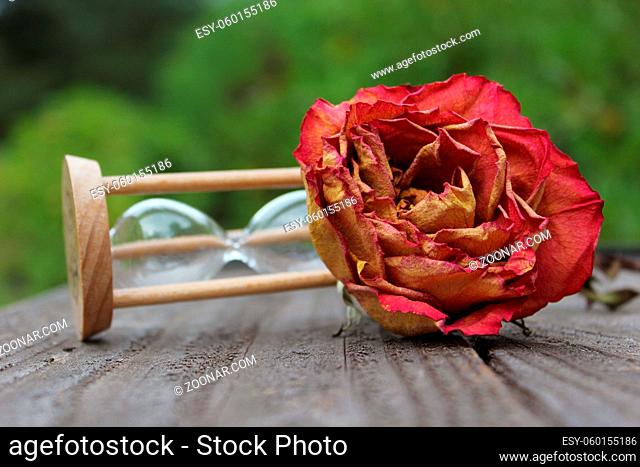 Dry Rose With Broken Hourglass outdoors on patio