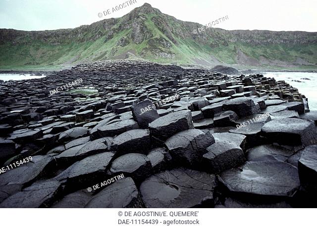 Giant's Causeway, Giant's Causeway (UNESCO World Heritage List, 1986), prismatic columns of basalt, Bushmills, County Antrim, Northern Ireland, United Kingdom
