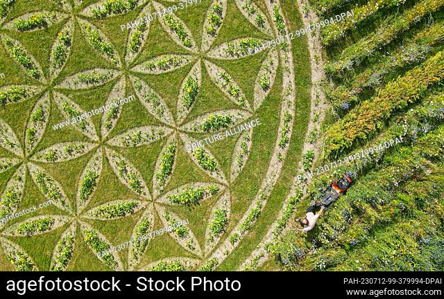 12 July 2023, Brandenburg, Jacobsdorf: Countless flowers bloom on a special meadow for insects (aerial view with a drone)