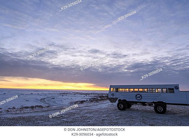 Tundra buggy vehicle at dawn, Churchill Wildlife Management Area, Churchill, Manitoba, Canada