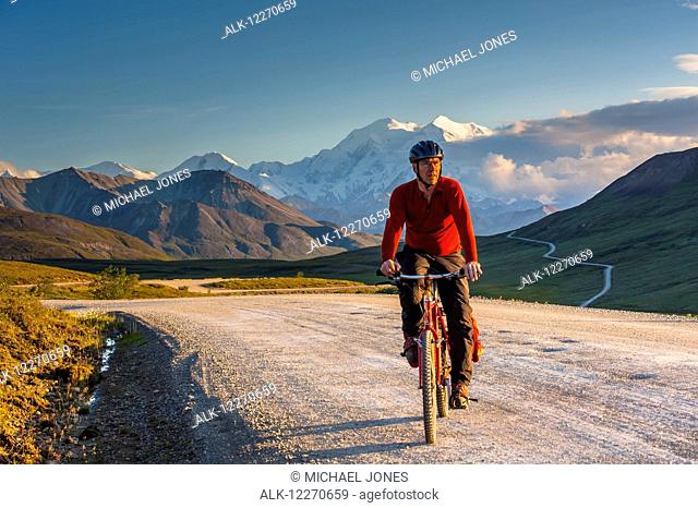A man bicycle touring in Denali National Park with Mt. McKinley in the background, Interior Alaska, Summer