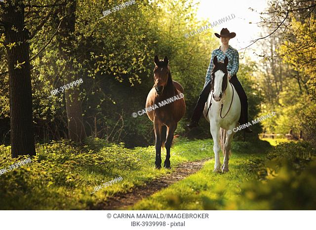 Female western rider on a Paint Horse, Black Tobiano colour pattern, leading a bay Shagya Arabian horse, riding bareback through the forest, Münsterland