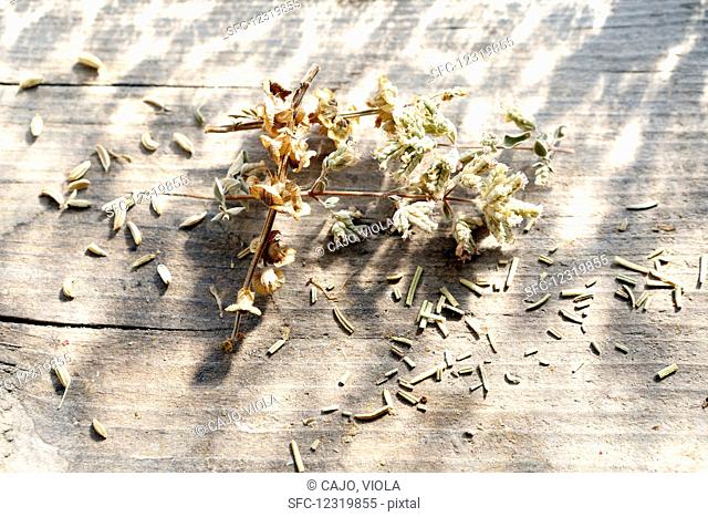 Various dried herbs and herb flowers on a wooden surface