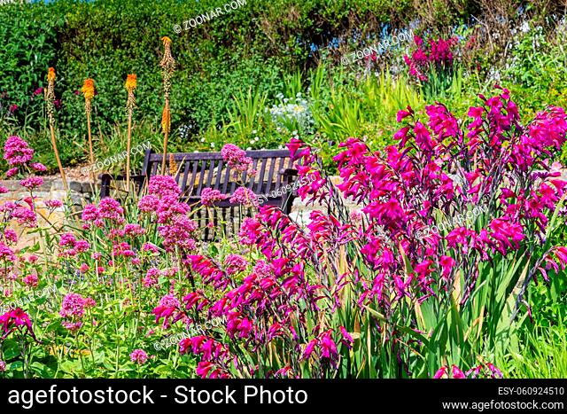 Bench between colorful flowers along the seaside in Eastbourne, Sussex, United Kingdom