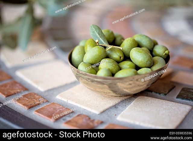 Frisch vom Baum geerntete Oliven in Italien