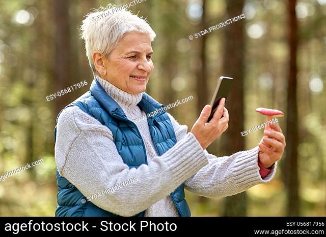 senior woman using smartphone to identify mushroom