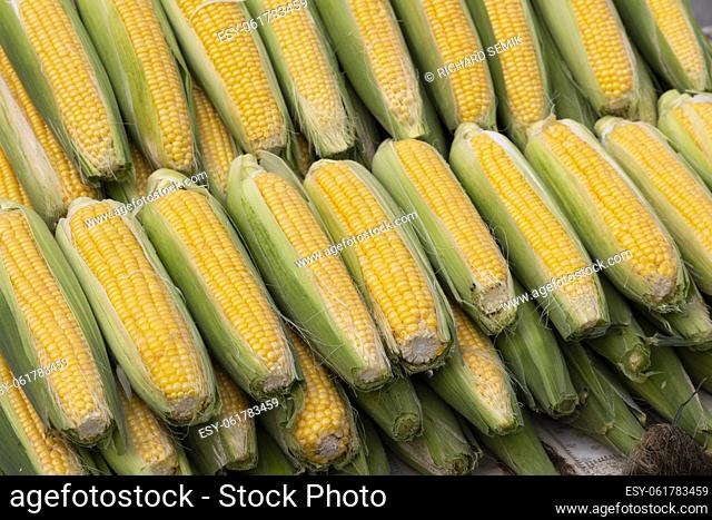 corn on the street market in Eger, Hungary