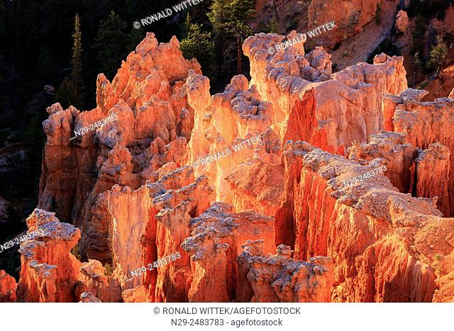 Bryce Canyon National Park, North America, USA, South-West, Utah