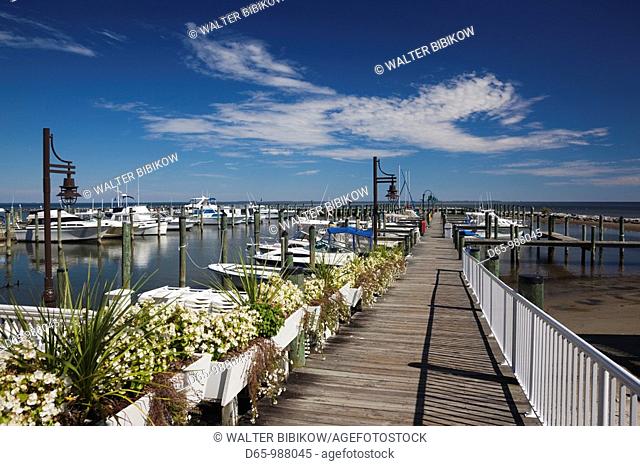 USA, Maryland, Western Shore of Chesapeake Bay, Chesapeake Beach, marina